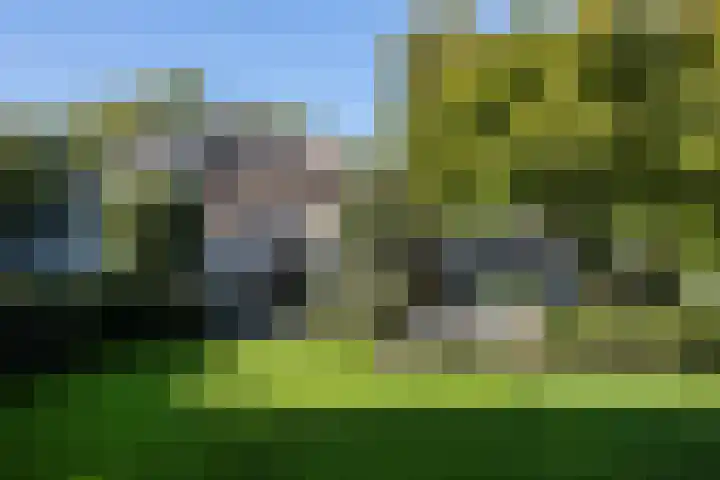 Naarderstraat 223 Huizen thumbnail 65