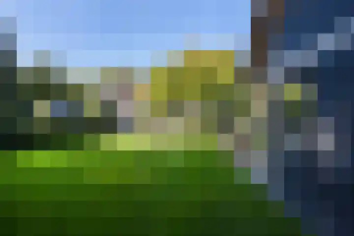 Naarderstraat 223 Huizen thumbnail 66