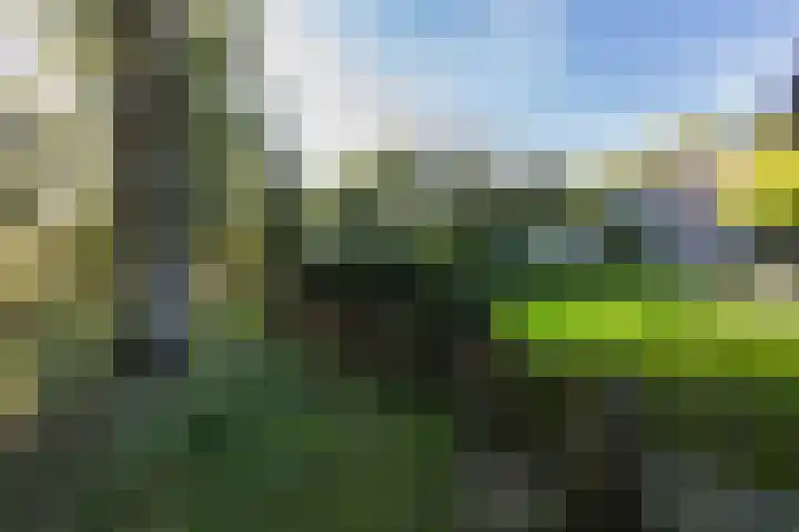 Naarderstraat 223 Huizen thumbnail 67