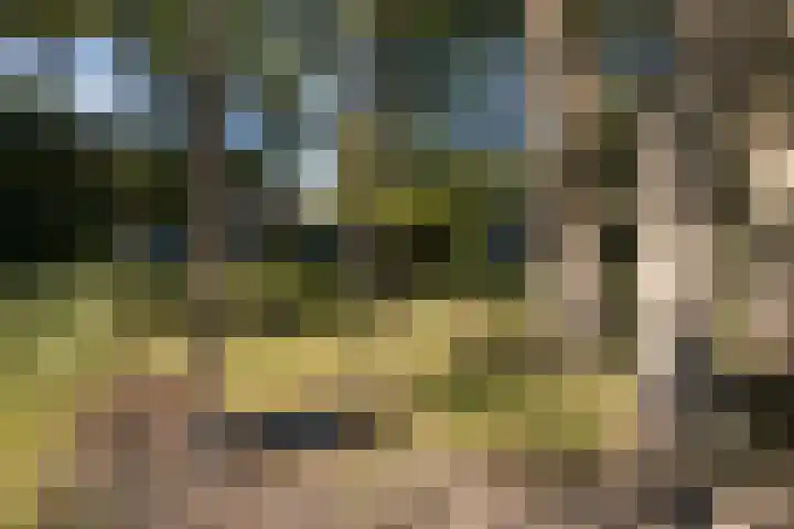 Naarderstraat 223 Huizen thumbnail 68