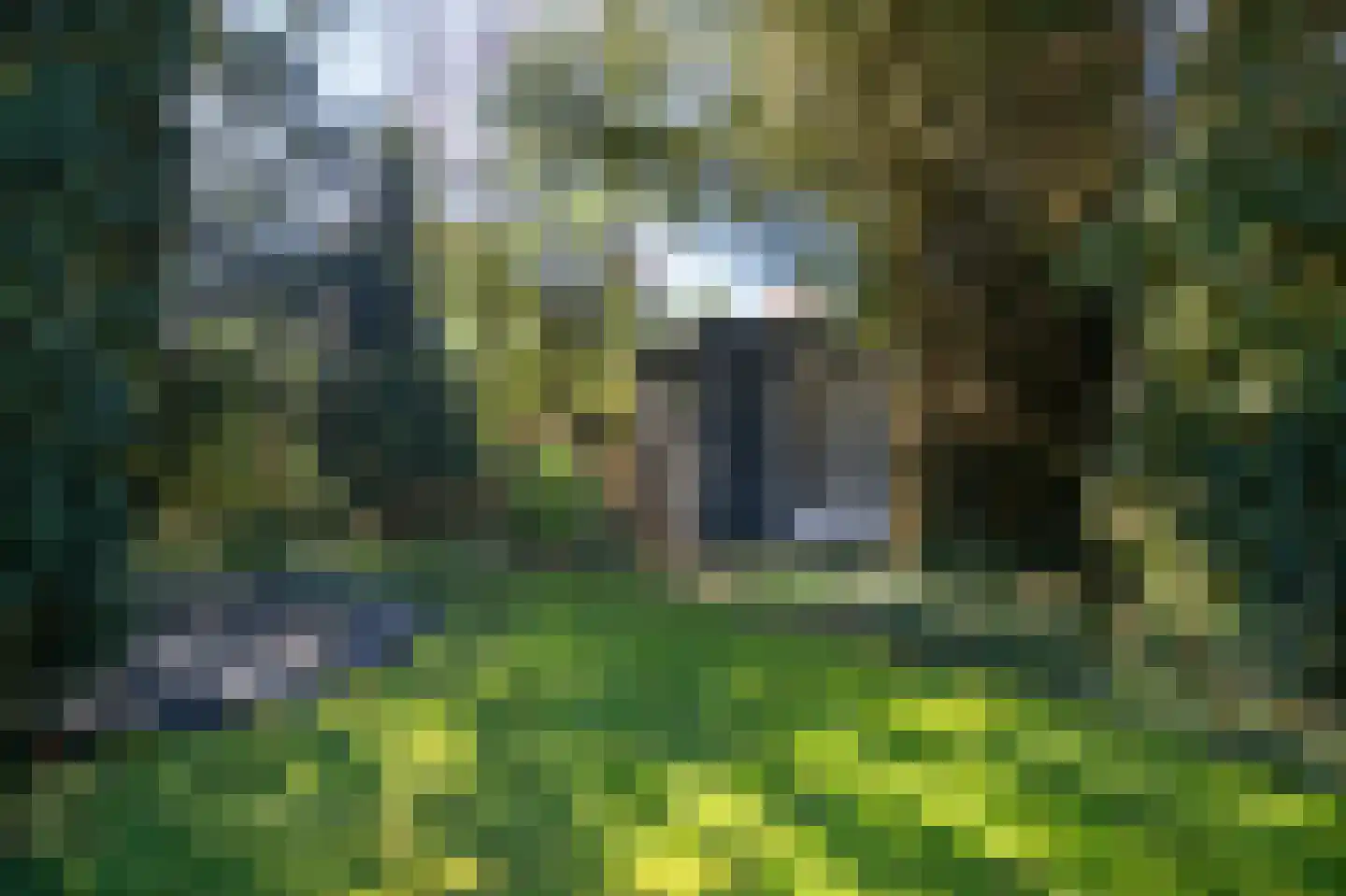 Naarderstraat 23 Huizen thumbnail 23
