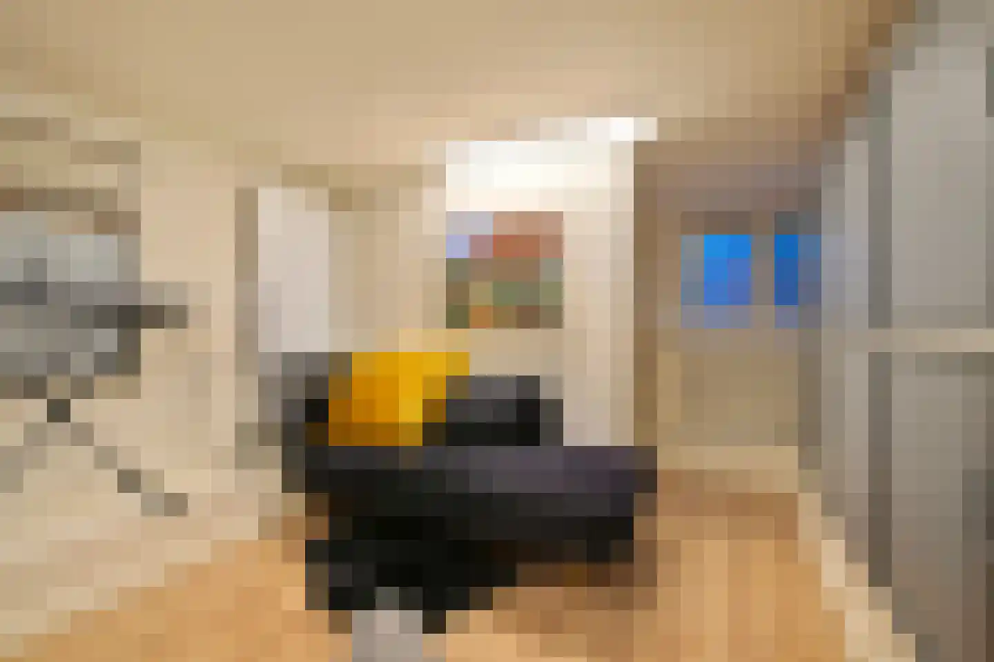 Naarderstraat 23 Huizen thumbnail 31