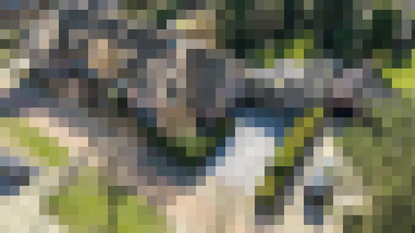 Naarderstraat 23 Huizen thumbnail 50