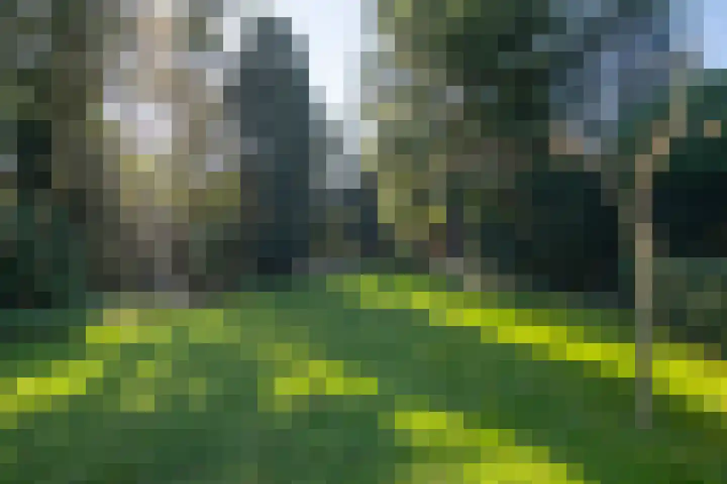 Naarderstraat 23 Huizen thumbnail 55