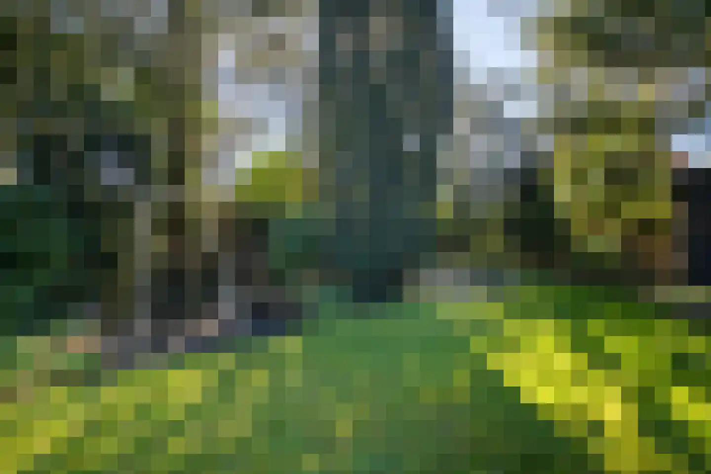 Naarderstraat 23 Huizen thumbnail 56