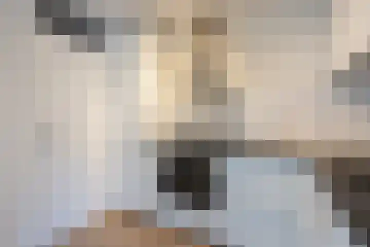 Naarderstraat 24 B Hilversum thumbnail 12
