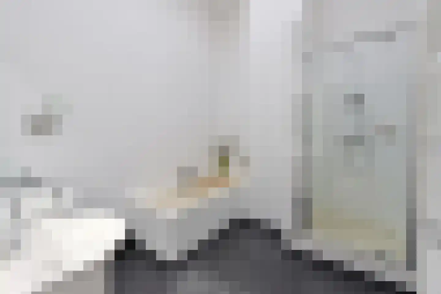 Naarderstraat 25 a Laren thumbnail 19