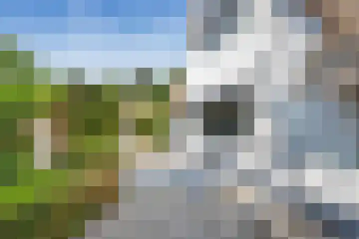 Naarderstraat 268 Huizen thumbnail 10