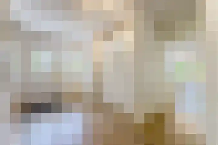 Naarderstraat 268 Huizen thumbnail 12