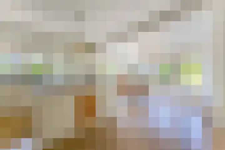 Naarderstraat 268 Huizen thumbnail 33