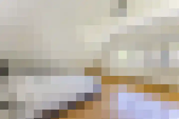 Naarderstraat 268 Huizen thumbnail 44