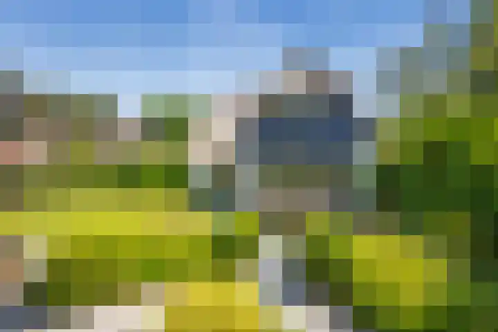 Naarderstraat 268 Huizen thumbnail 78
