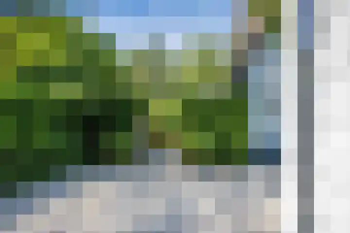Naarderstraat 268 Huizen thumbnail 81