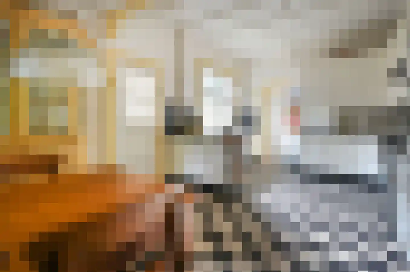 Naarderstraat 311 Huizen thumbnail 15