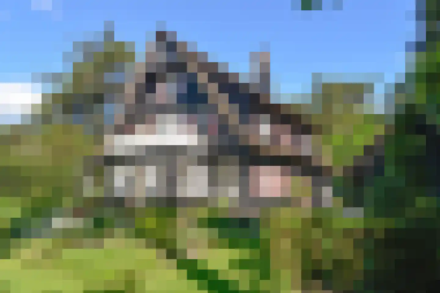 Naarderstraat 311 Huizen thumbnail 43
