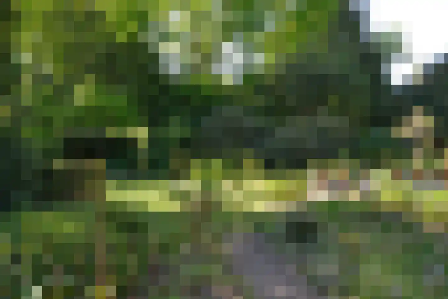 Naarderstraat 311 Huizen thumbnail 45
