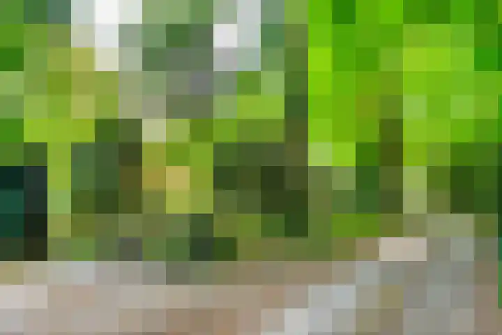 Naarderstraat 318 Huizen thumbnail 30