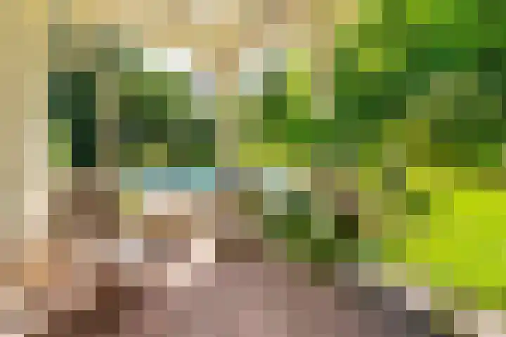Naarderstraat 318 Huizen thumbnail 7
