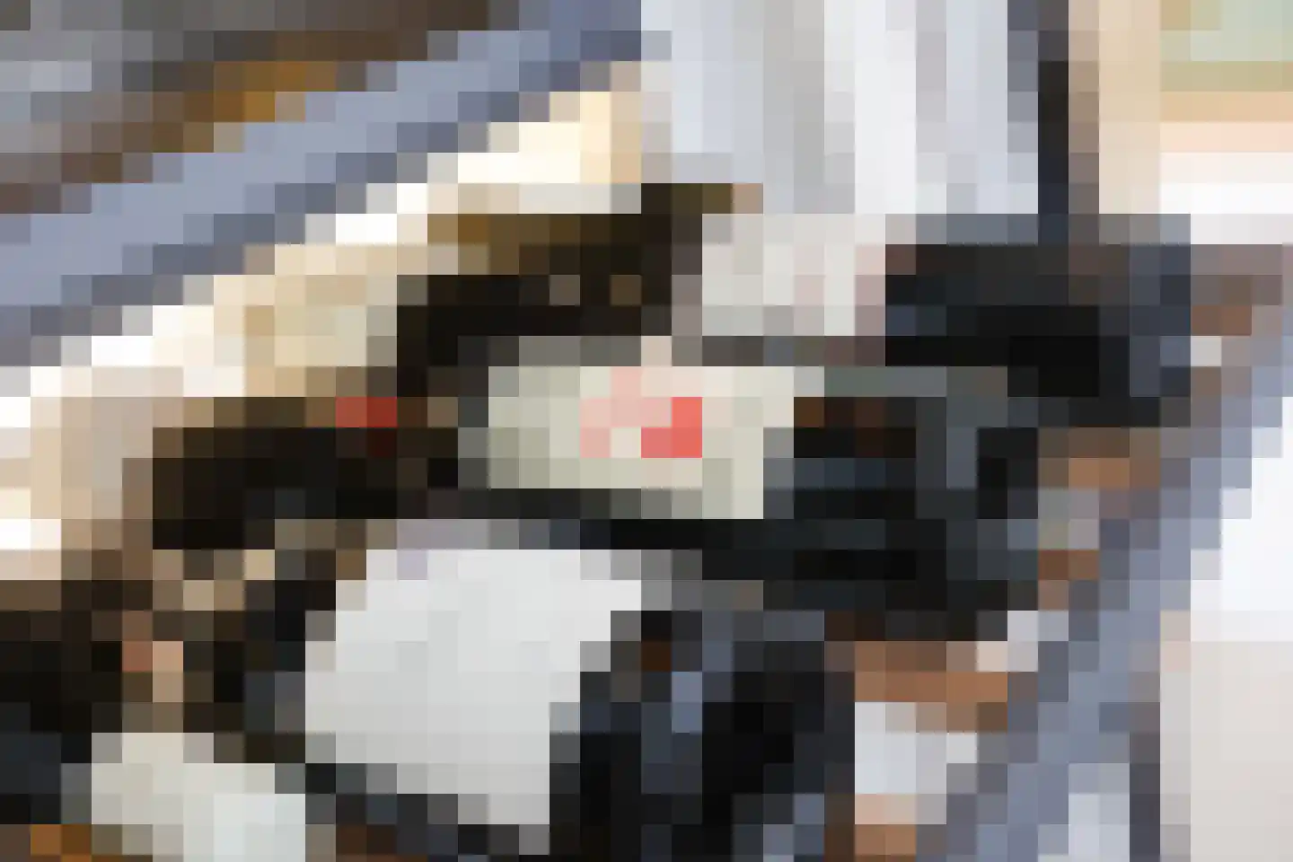 Naarderstraat 44 a Laren thumbnail 5