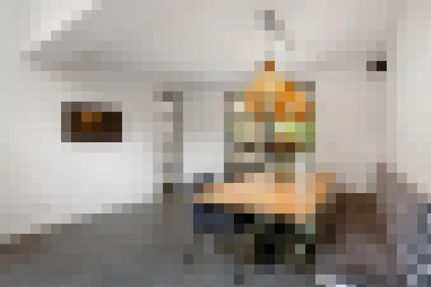Naarderstraat 45 Huizen thumbnail 23