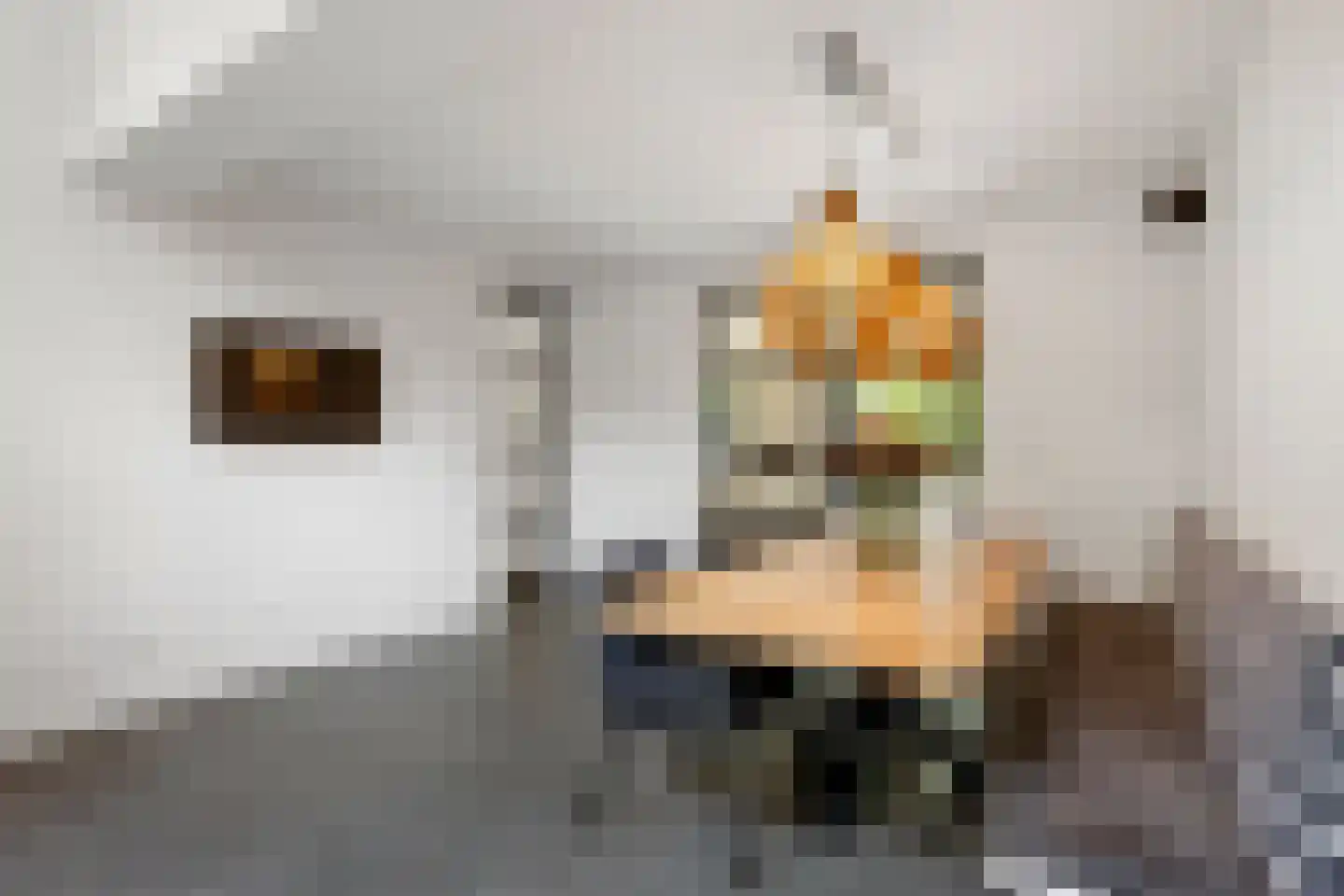 Naarderstraat 45 Huizen thumbnail 24