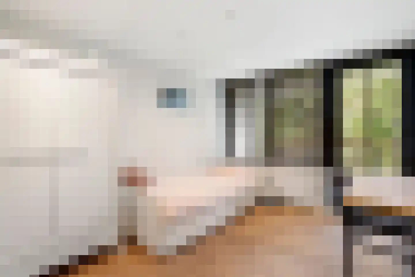 Naarderstraat 45 Huizen thumbnail 38