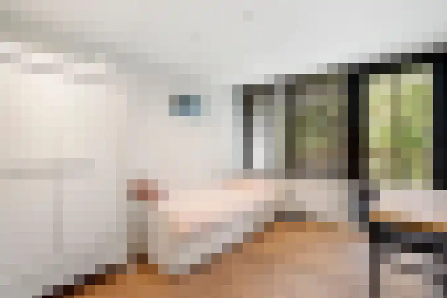 Naarderstraat 45 Huizen thumbnail 39