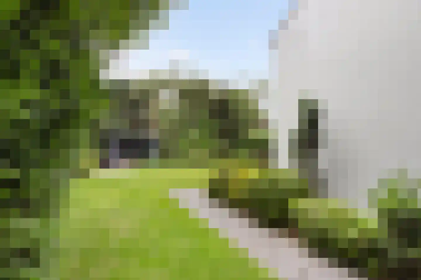 Naarderstraat 45 Huizen thumbnail 57