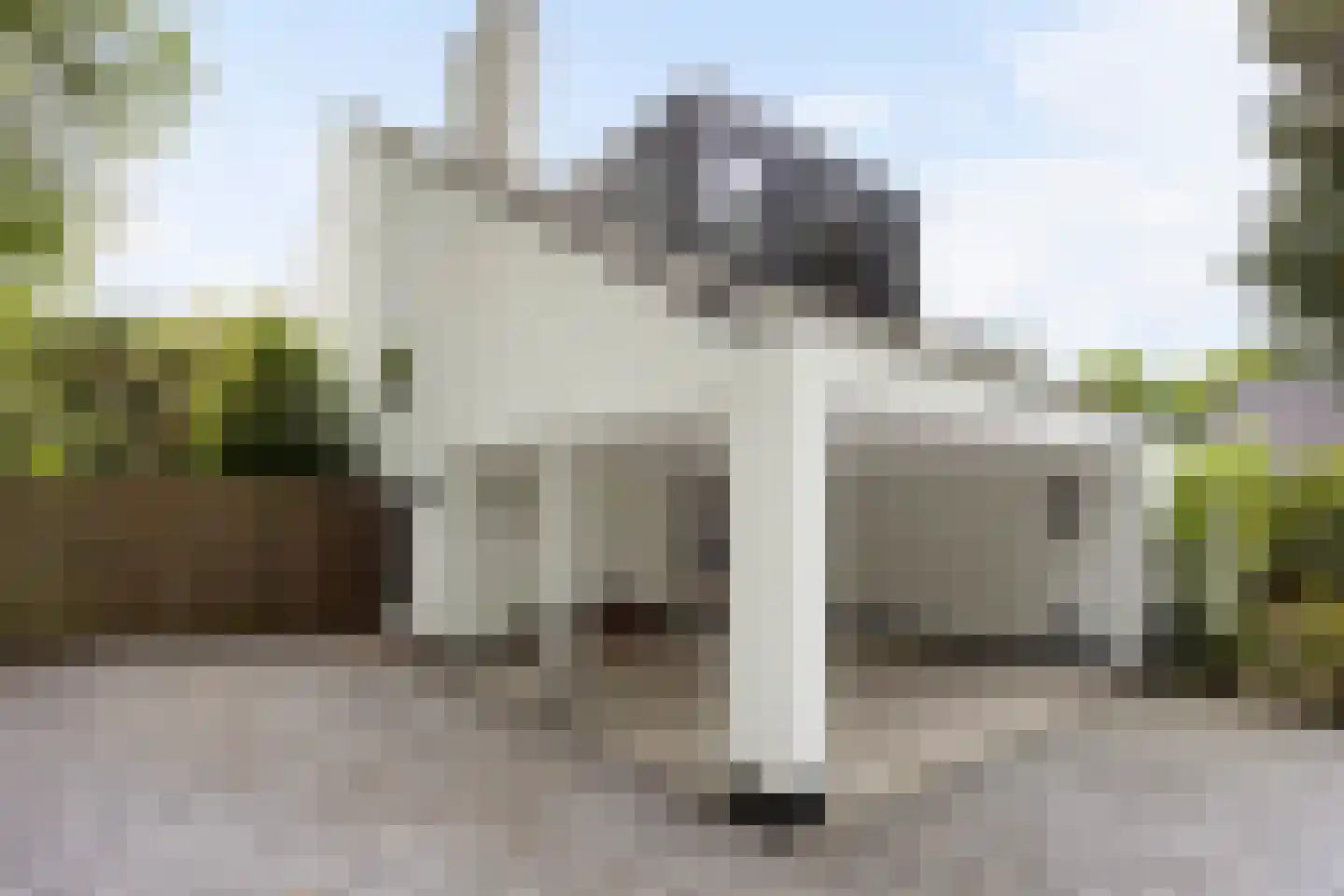 Naarderstraat 45 Huizen thumbnail 6