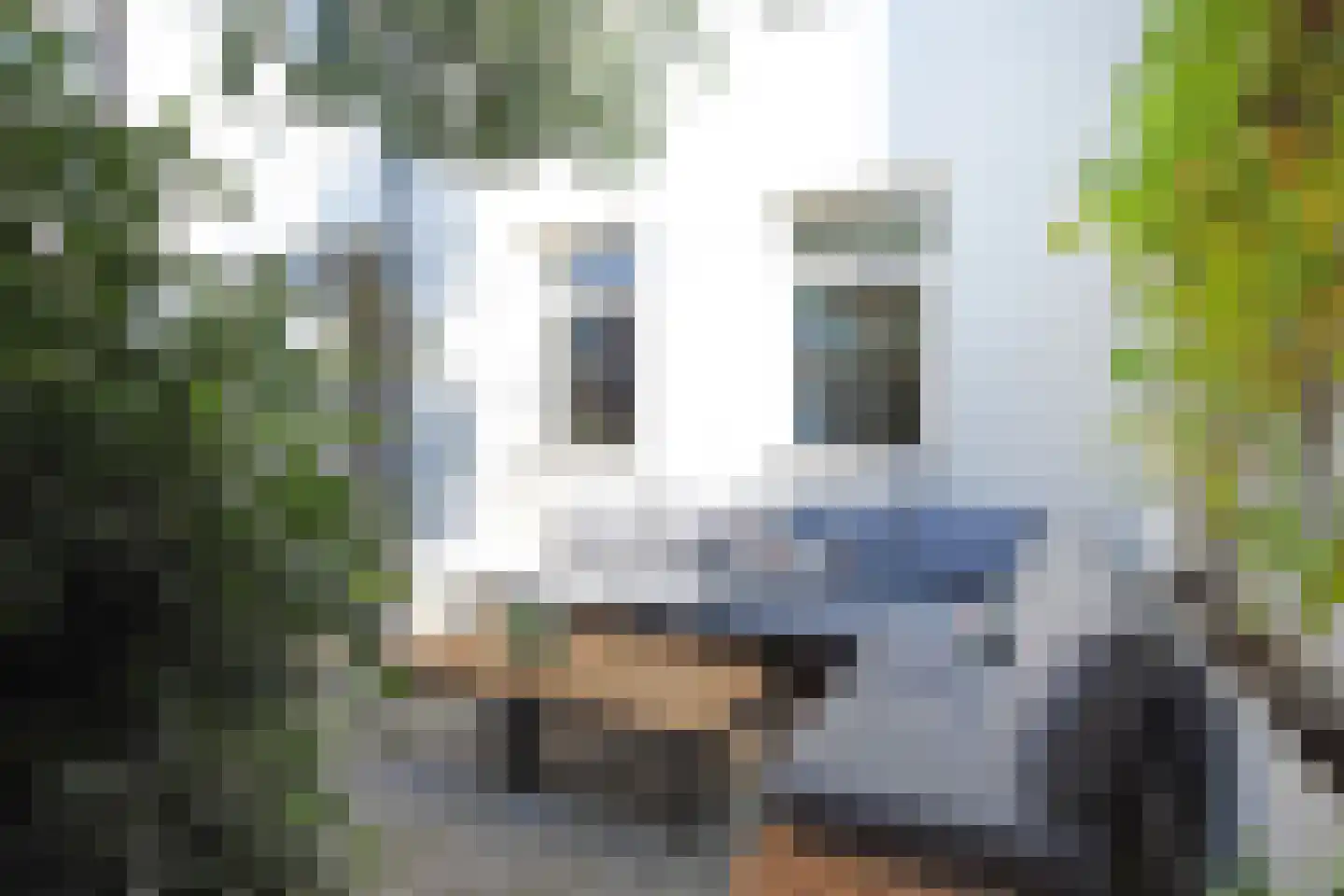 Naarderstraat 5 Den Haag thumbnail 19