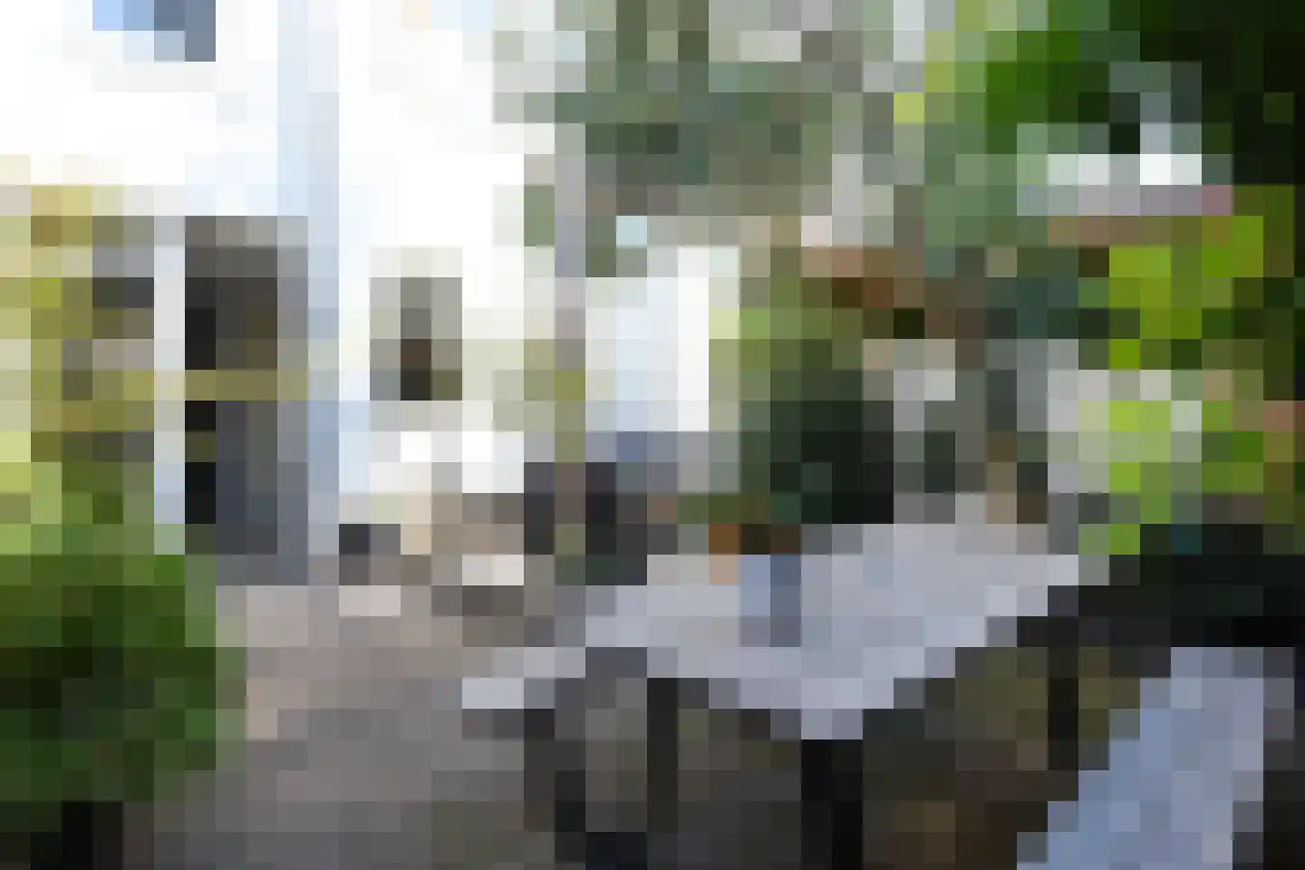 Naarderstraat 5 Den Haag thumbnail 22