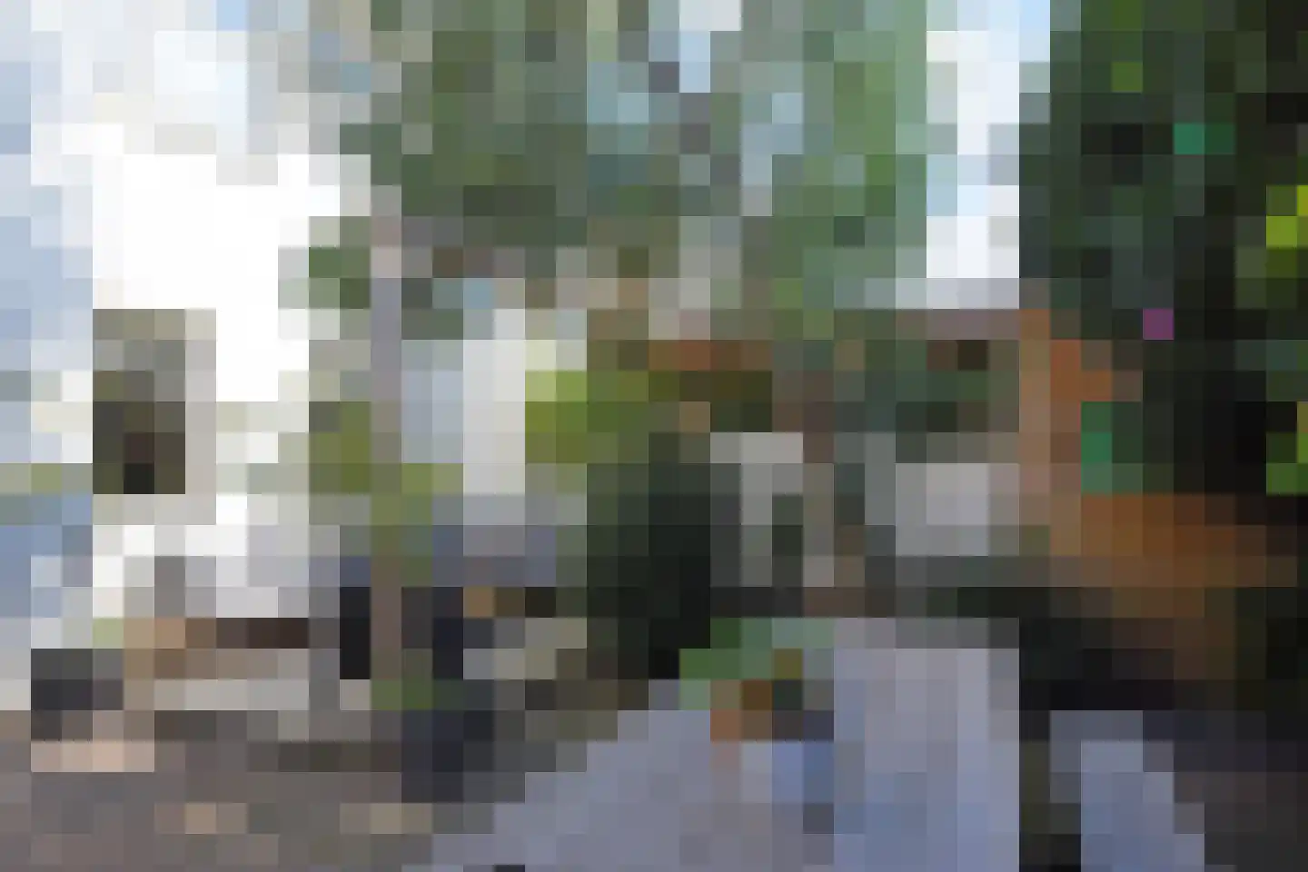 Naarderstraat 5 Den Haag thumbnail 5