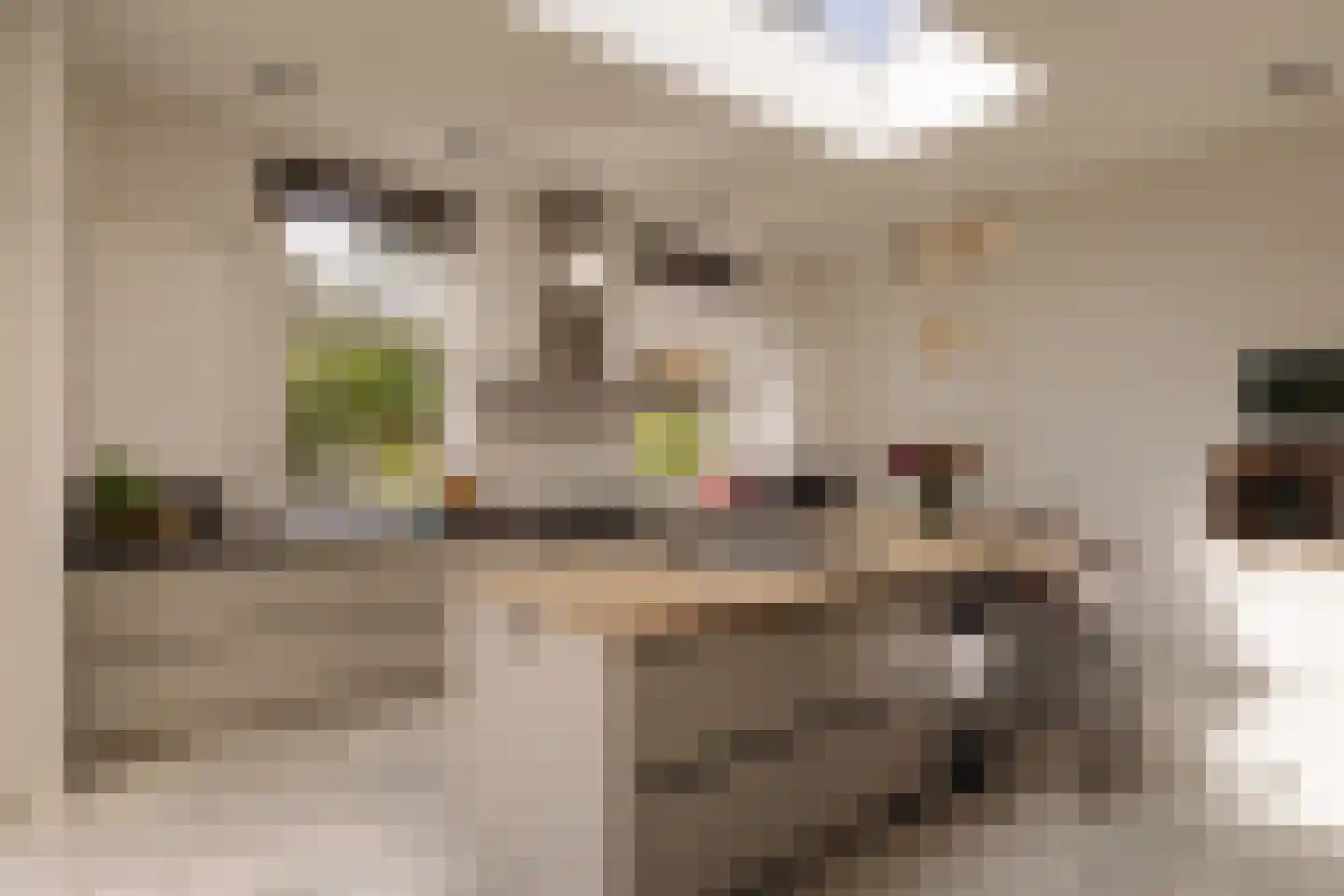 Naarderstraat 71 Laren thumbnail 11
