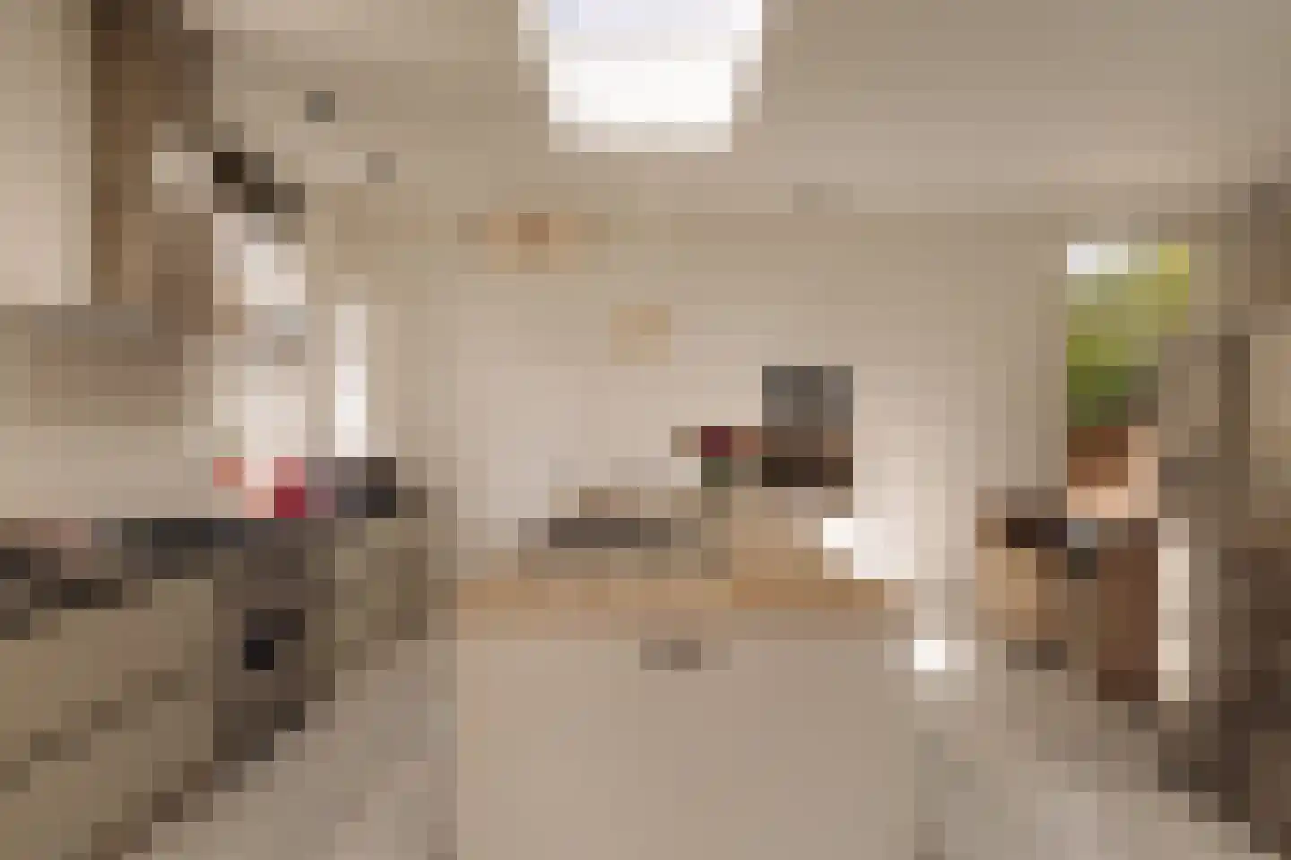 Naarderstraat 71 Laren thumbnail 12