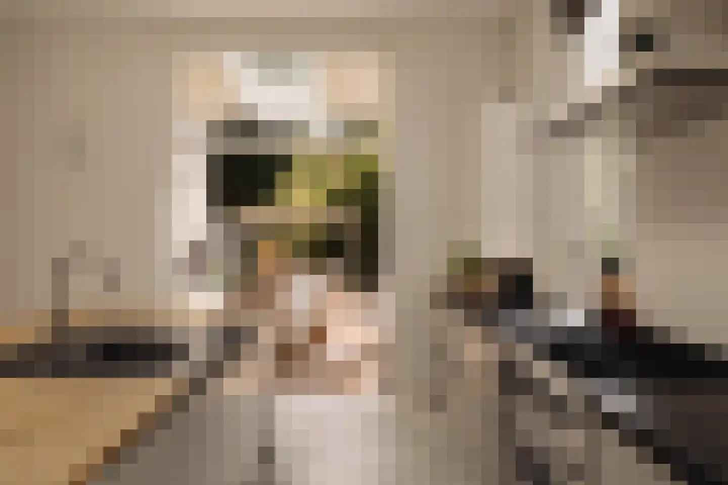Naarderstraat 71 Laren thumbnail 15
