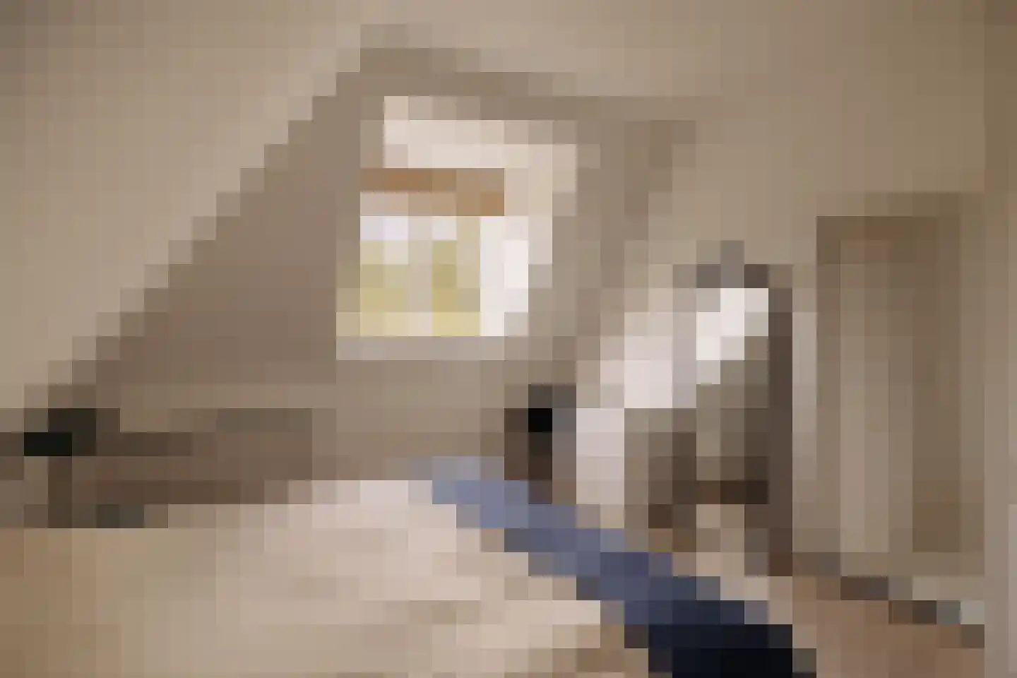 Naarderstraat 71 Laren thumbnail 24