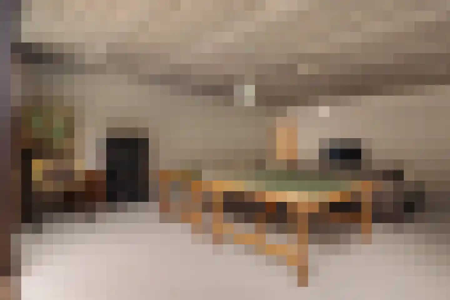 Naarderstraat 71 Laren thumbnail 43