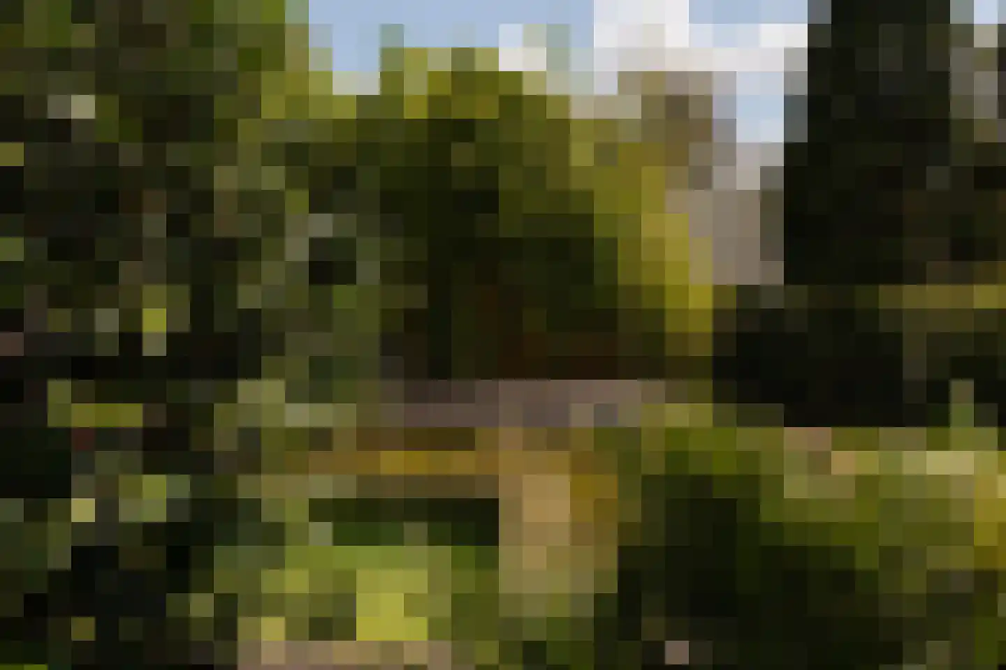 Naarderstraat 71 Laren thumbnail 57