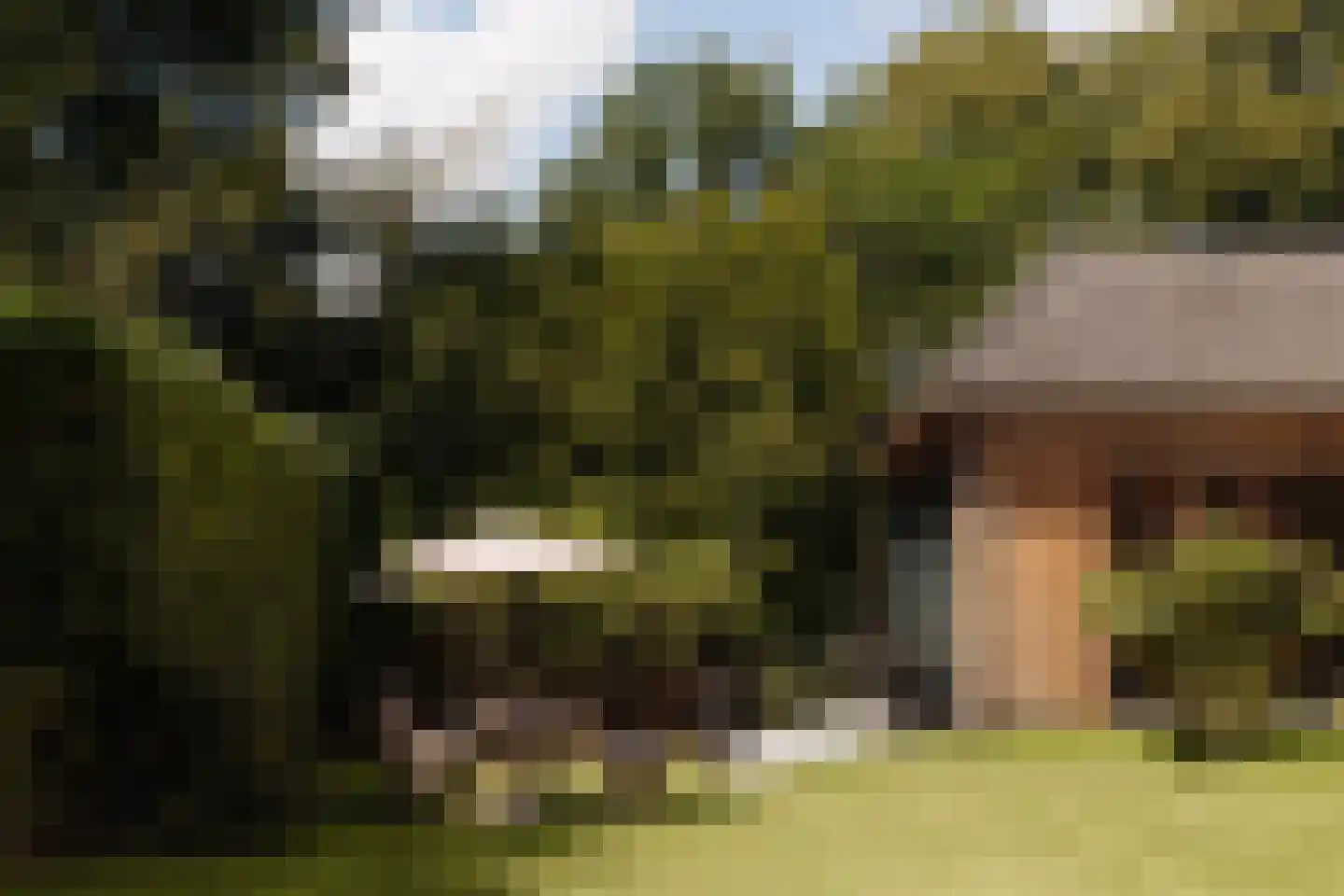 Naarderstraat 71 Laren thumbnail 62