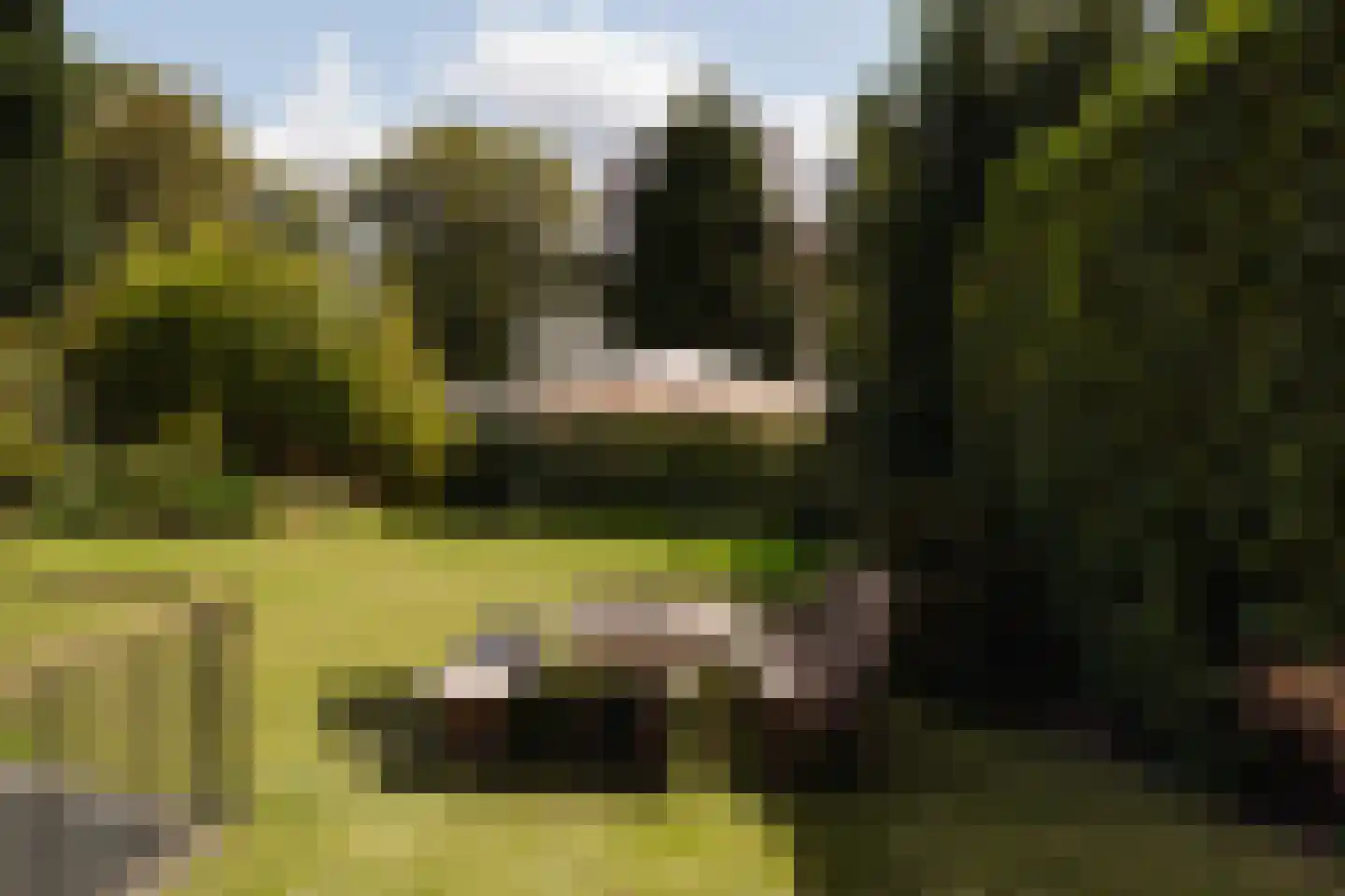 Naarderstraat 71 Laren thumbnail 63