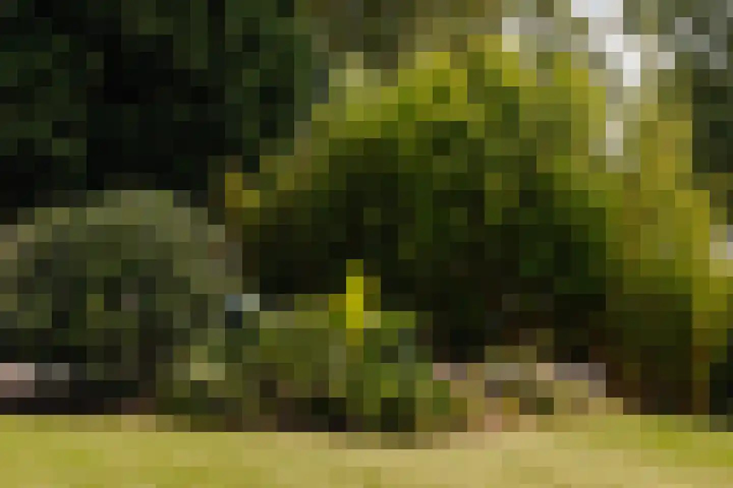 Naarderstraat 71 Laren thumbnail 65