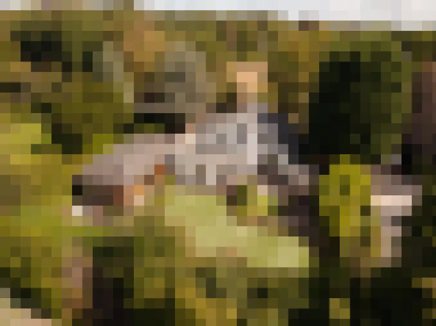 Naarderstraat 71 Laren thumbnail 67