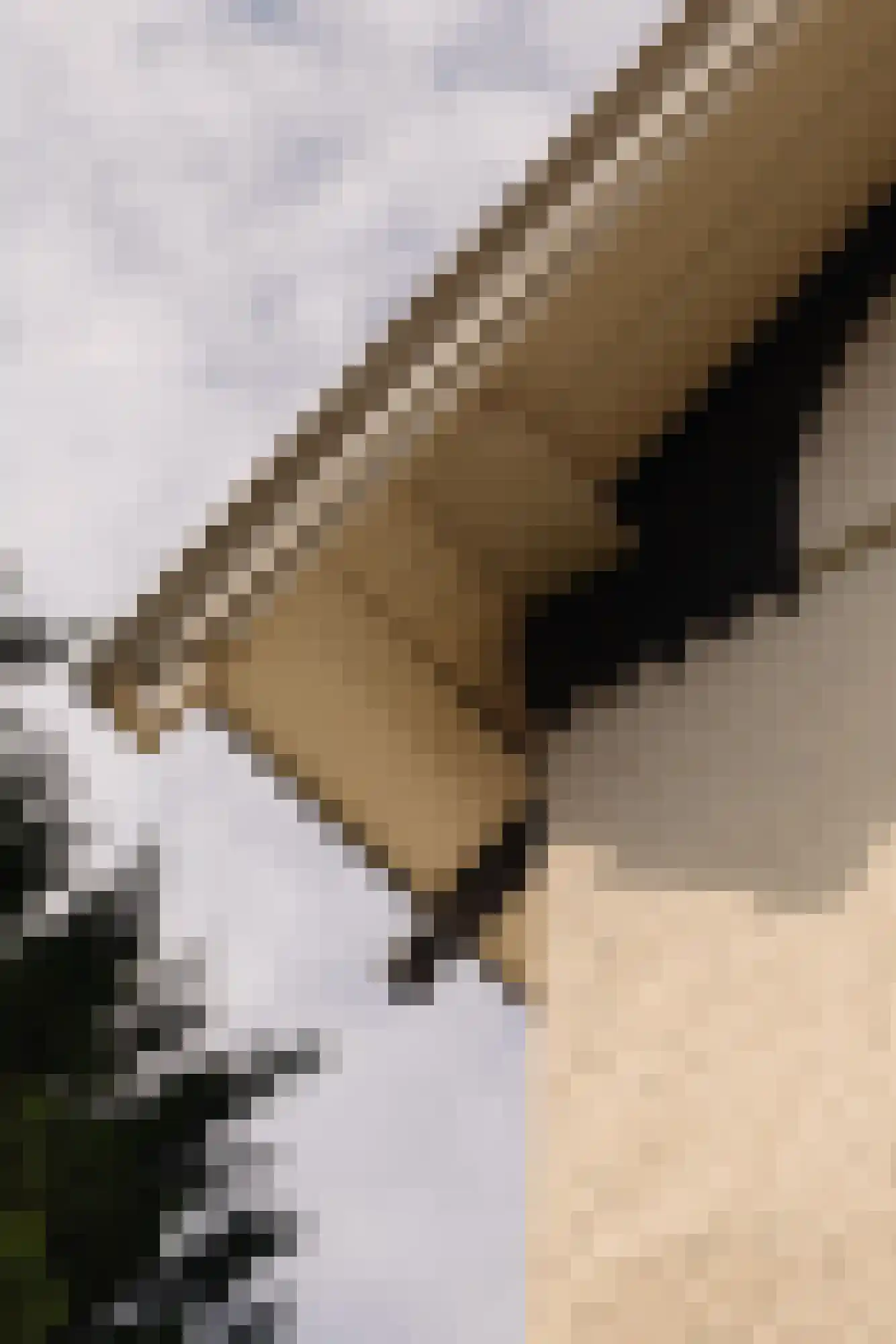 Naarderstraat 71 Laren thumbnail 68