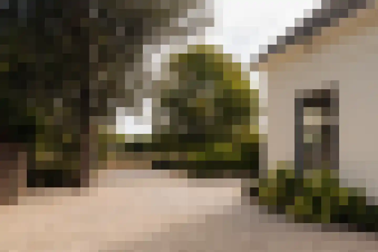 Naarderstraat 71 Laren thumbnail 69