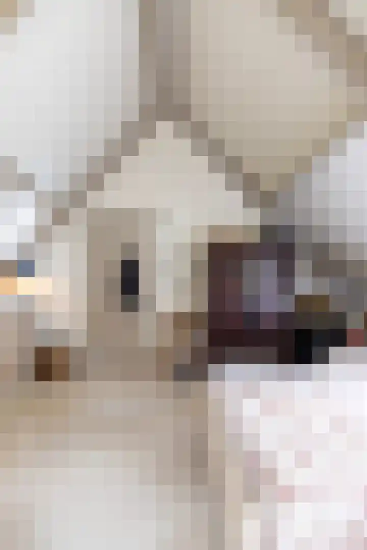 Naarderstraat 80 Laren thumbnail 20
