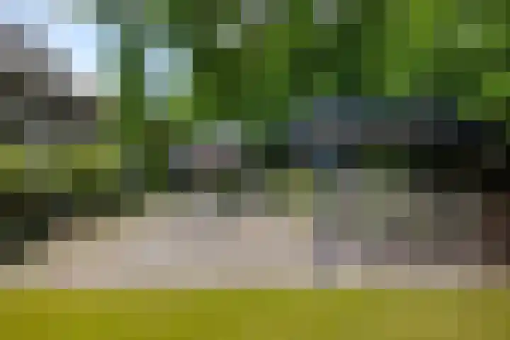 Naarderstraat 80 Laren thumbnail 26