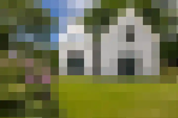 Naarderstraat 80 Laren thumbnail 33