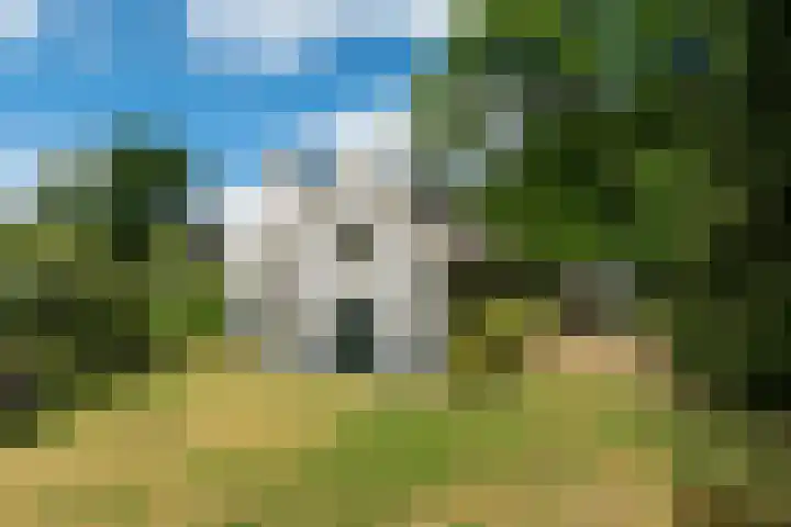 Naarderstraat 80 Laren thumbnail 34