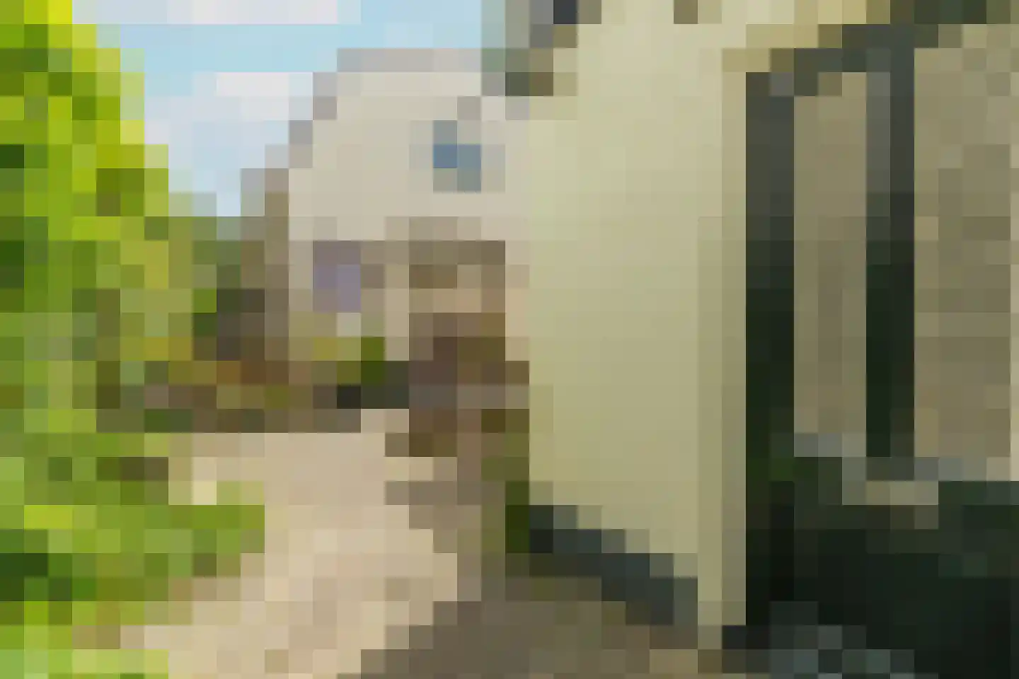 Naarderstraat 88 A Hilversum thumbnail 15
