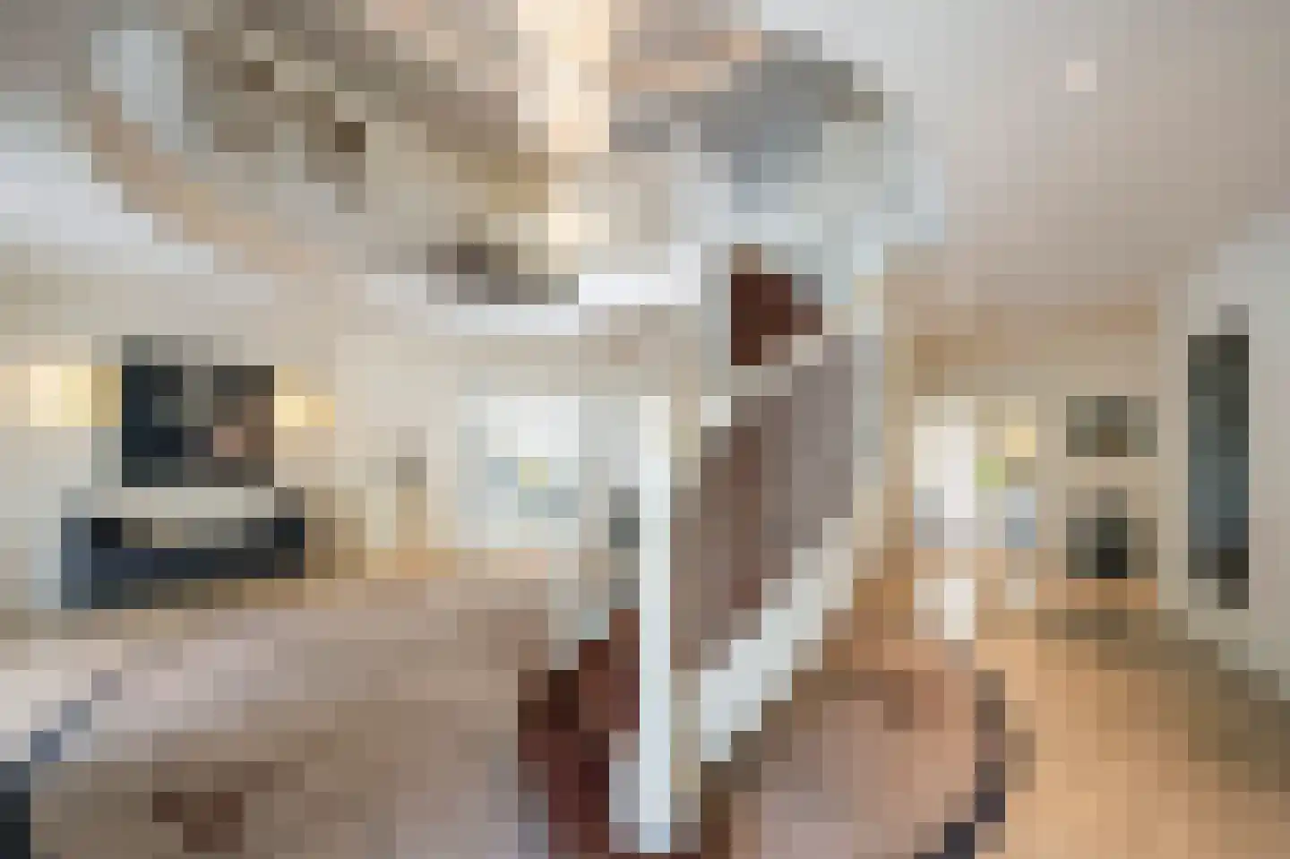 Naarderstraat 89 Laren thumbnail 10